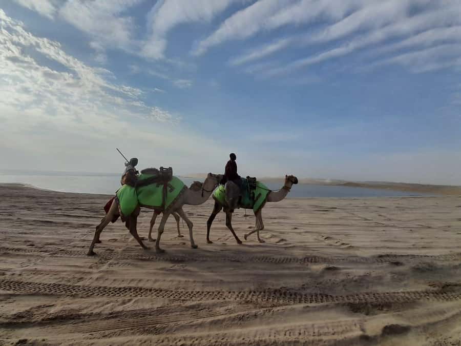Desert Safari, Quad Bike, Camel Ride, Falcon & Sandboarding - The return to Doha and the real value of $52