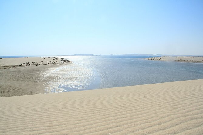 Desert Safari, Quad Bike, Sandboarding and Camel Ride - Guide quality and the feel of the ride