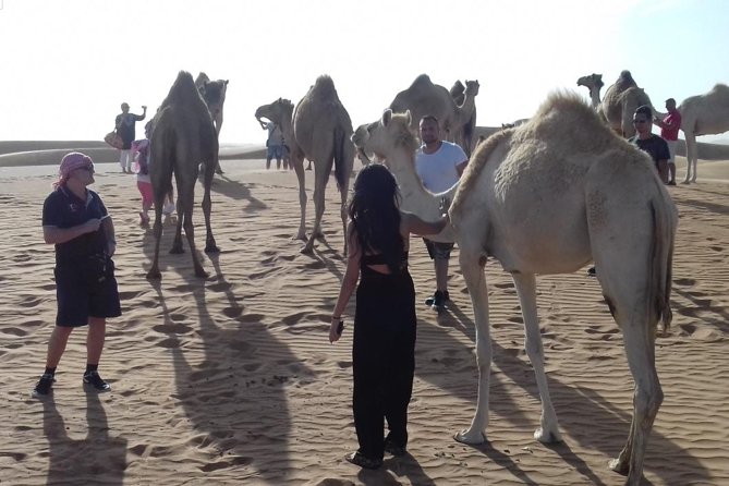 Desert Safari Tour, Quad Bike with BBQ Dinner & Show from Dubai - What the 4-hour and 7-hour options really mean