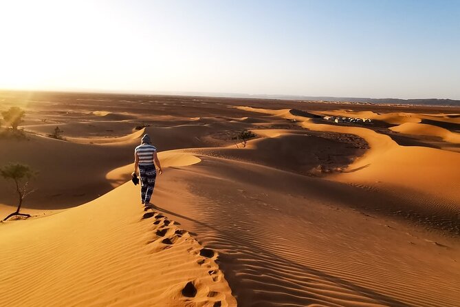 Desert Safari With BBQ Dinner, Quad Ride And And Sand-boarding - What the $65 price really covers