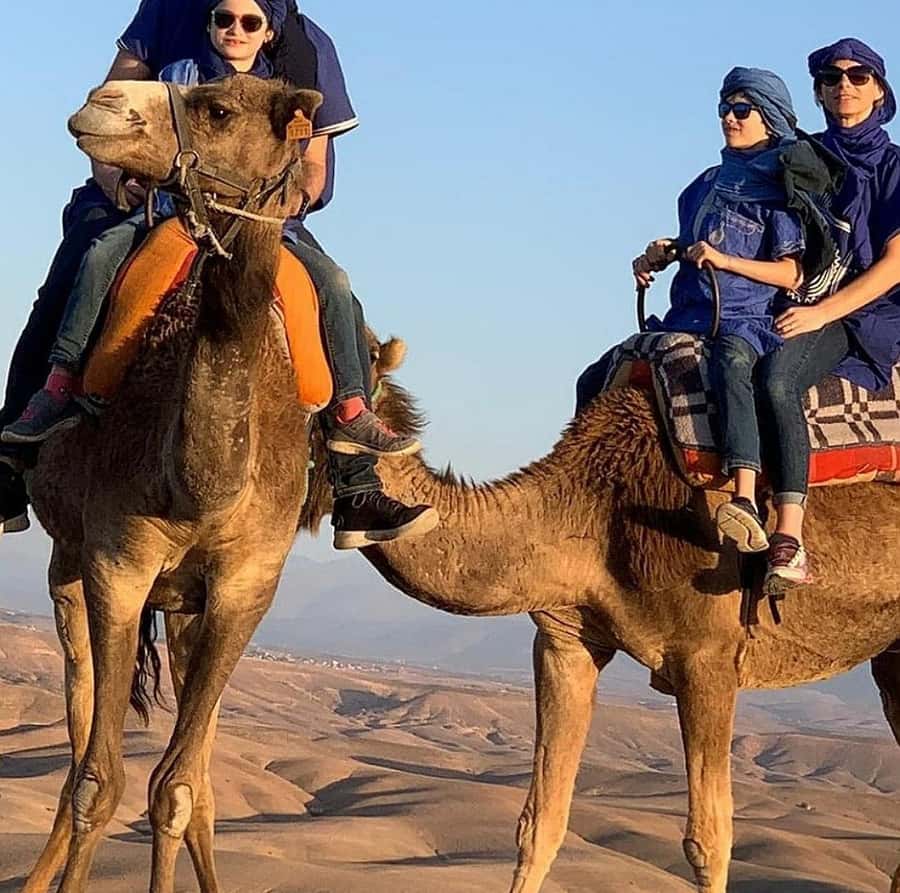 Dinner show in agafay Desert 1h quad bike & 20 min camels - Should you book this Agafay dinner show?
