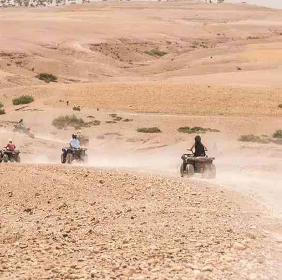 Dinner show in agafay Desert 1h quad bike & 20 min camels - Tea, the desert pool, and the optional argan stop