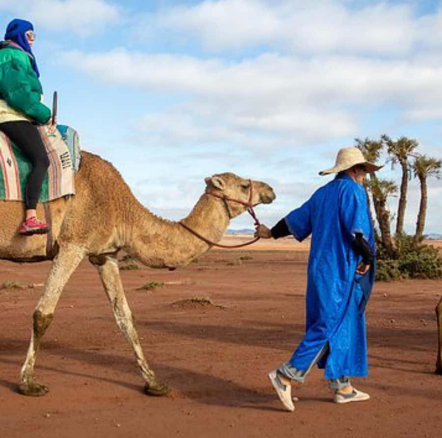 Dinner show in agafay Desert 1h quad bike & 20 min camels - What the $21 price really delivers