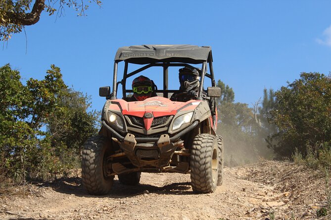 Dirt & Dust Buggy Tour - Key points to know before you book