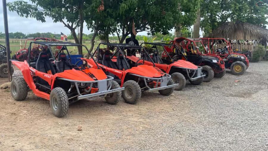 Discover Punta Cana Tour Buggy & ATV Tour Macao Beach Cenote - How the $21 price measures up