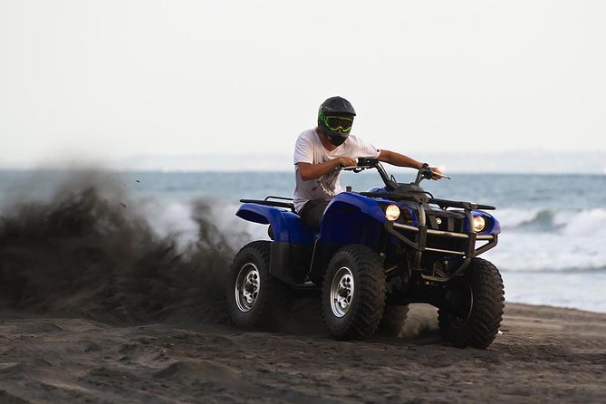 Djerba Island: 1.5-Hour Quad Biking Adventure - Eucalyptus and prickly-pear country