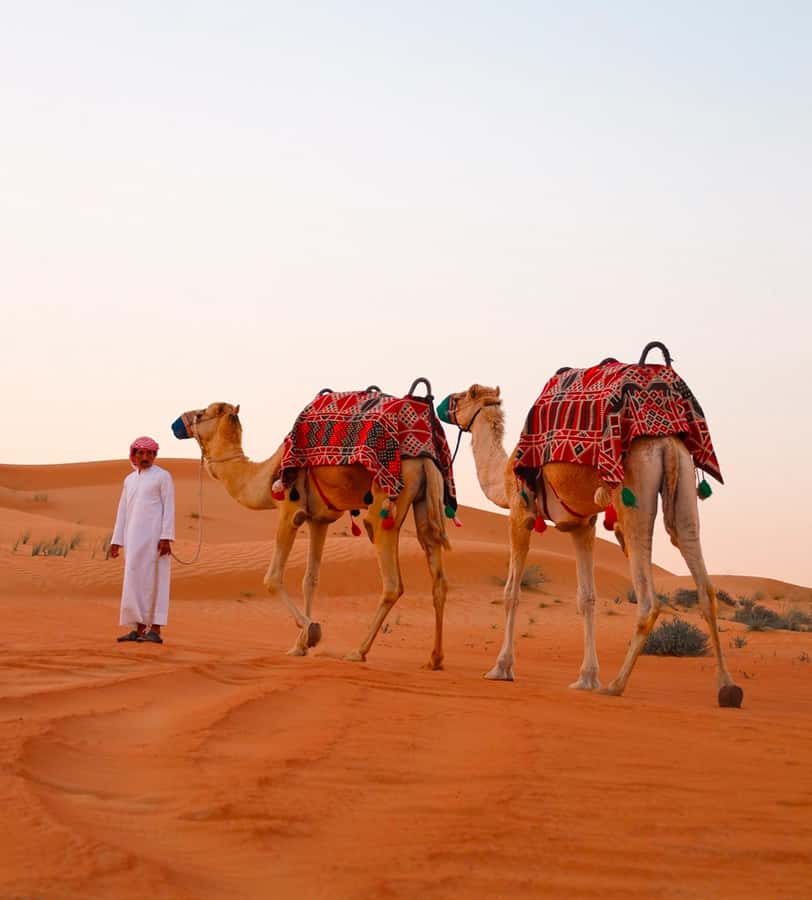 Doha: ATV/Desert Safari with Activities and Inland Sea Stop - The return to Doha and overall timing