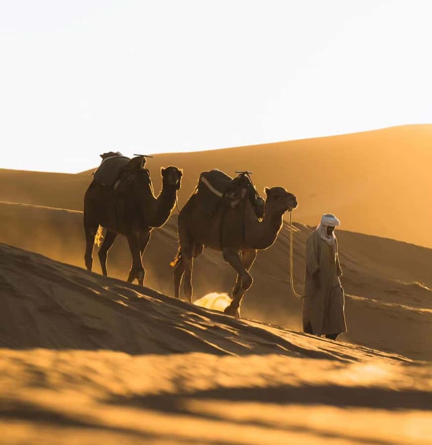 Doha: ATV/Desert Safari with Activities and Inland Sea Stop - The Inland Sea is the payoff