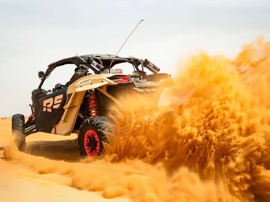 Doha: ATV Quad Bike and Buggy Desert Safari with Camel Ride - Photo stops above the dunes