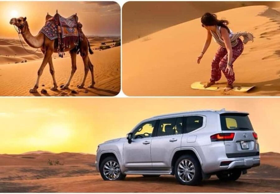 Doha: ATV, Quad/Buggy Dune Bashing, Camel Ride, Sandboarding - Key points to know before booking