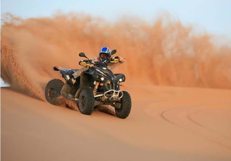 Doha:ATV,Quad or Buggy Dune Bashing,CamelRide & Sandboarding - Tea, camels, and a short cultural pause