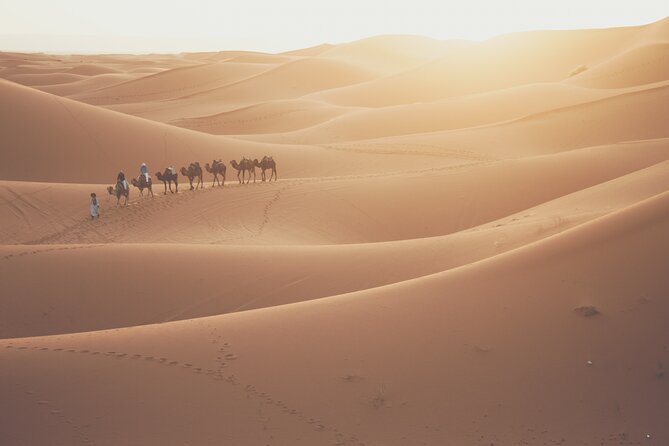 Doha Desert Adventure, Sandboarding, Dune Bashing,Inland Sea Tour - Sealine Beach and the Inland Sea