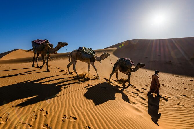 Doha Desert Excursion Dune Bashing Sandboarding Camel Ride - Khor Al Adaid Inland Sea: the reason to go south
