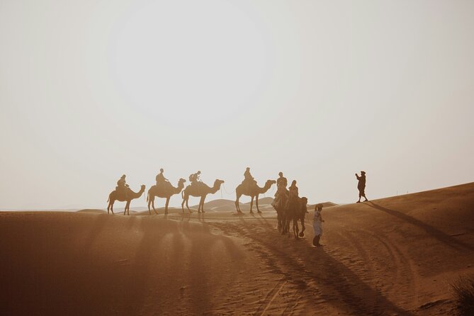 Doha Desert Excursion Dune Bashing Sandboarding Camel Ride - Who will enjoy this desert safari most
