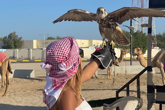 Doha Desert Safari Camel Ride Dune Bashing and ATV Bike - The Inland Sea and the best views