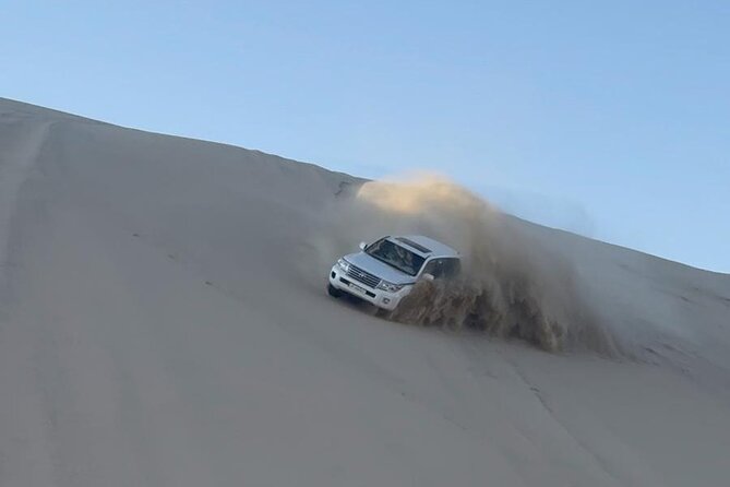 Doha Desert Safari Dune Bashing Camel Ride - The Inland Sea, where the dunes meet the water