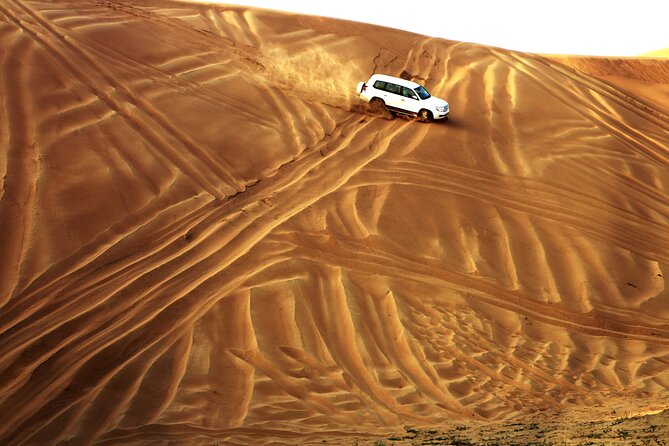 Doha Desert Safari Dune Bashing Camel Ride Sandboarding - Who should book this desert safari?