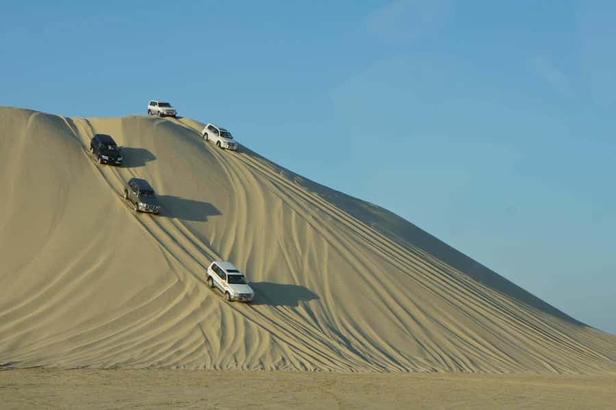 Doha: Desert Safari, Dune Bashing, Inland Sea With Transfers - From Doha to Qatar’s open desert