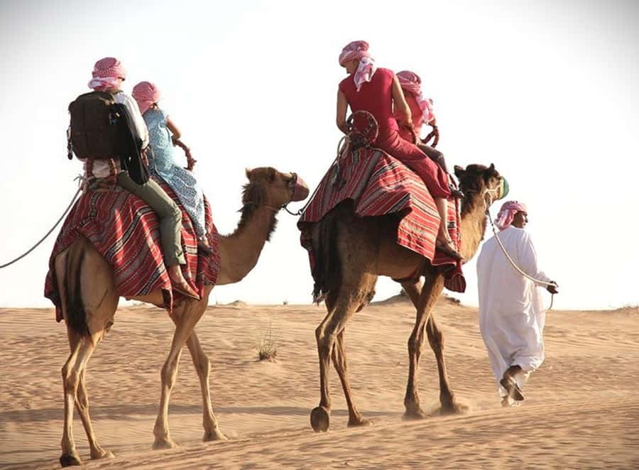 Doha: Desert Safari Dune Bashing, Sandboarding, & Camel Ride - A short camel ride and karak tea at the camp