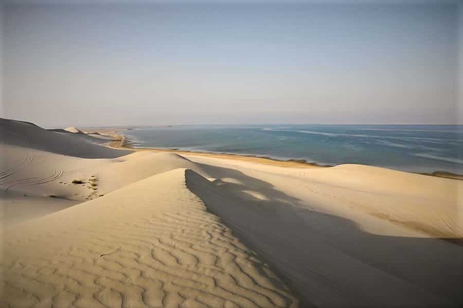 Doha: Desert Safari Dune Bashing, Sandboarding, & Camel Ride - Sandboarding and the high-dune photo stops