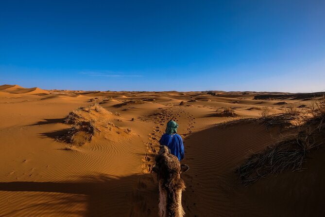 Doha Desert Safari Dune bashing,Sandboarding,CamelRide,Inland Sea - Who will enjoy this four-hour safari