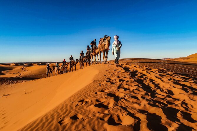 Doha Desert Safari Dune bashing,Sandboarding,CamelRide,Inland Sea - Sandboarding for a different kind of thrill