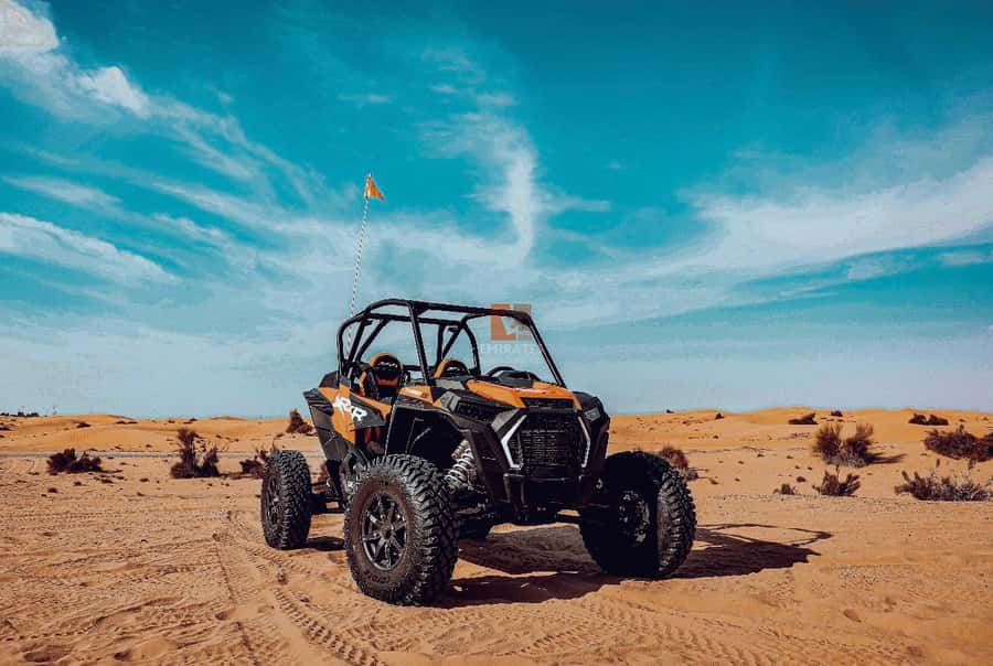 Doha: Desert Safari Experience – Quad Bike, Buggy/Camel Ride - Dune bashing across Qatar’s sand