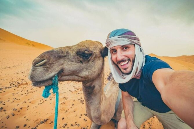 Doha Desert Safari Horse Riding, Camel Ride, ATVs & Inland Sea - One hour on Arabian horses