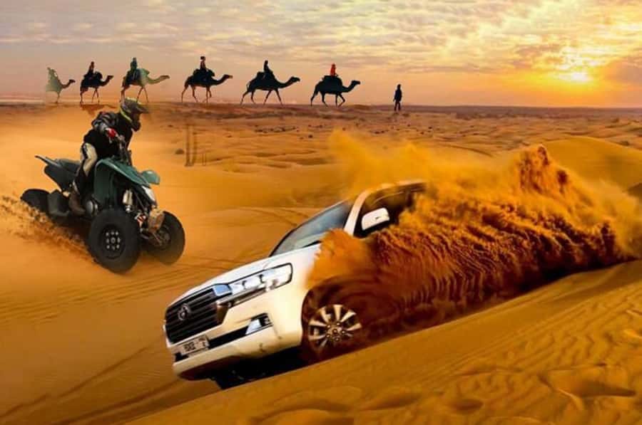Doha: Desert Safari, Quad Biking, Sand Boarding & Camel Ride - Key points at a glance