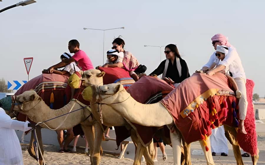 Doha: Desert Safari, Sandboarding, Dune Bashing & Inland Sea - Dune bashing across Qatar’s sand