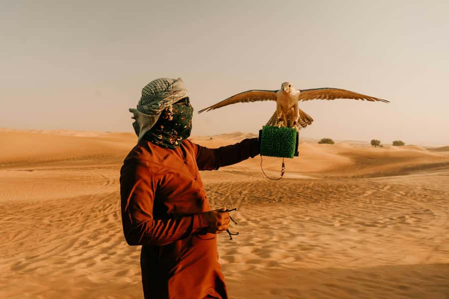 Doha: Desert Safari, Sandboarding, Dune Bashing & Inland Sea - Should you book it?