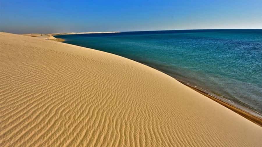 Doha: DesertSafari with Quad Bike, Camel Ride & Sandboarding - Optional quad biking on a 250cc desert track