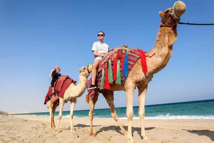 Doha: DesertSafari with Quad Bike, Camel Ride & Sandboarding - Khor Al Adaid, where the dunes meet the sea