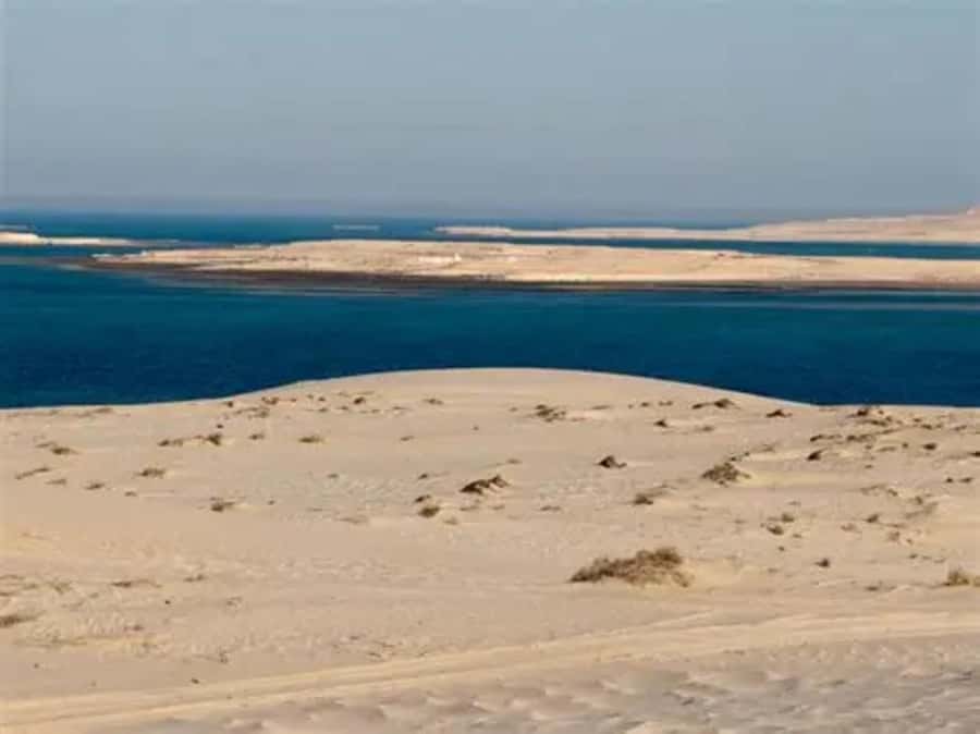 Doha: DesertSafari with Quad Bike, Camel Ride & Sandboarding - Guides, safety, and the human side of the trip