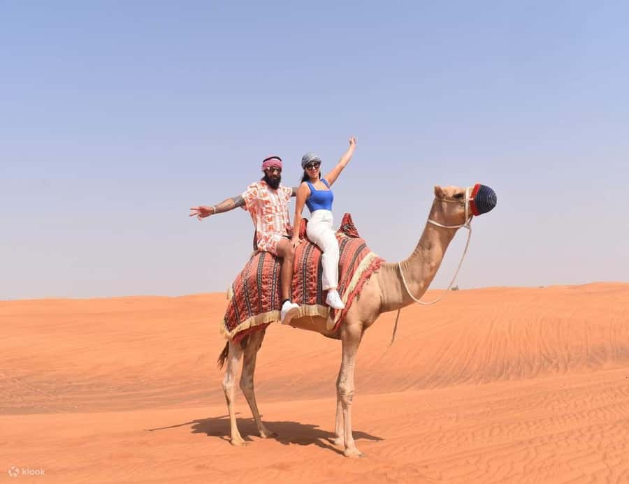 Doha: DesertSafari with Quad Bike, Camel Ride & Sandboarding - Who should book this safari?