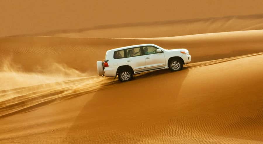 Doha: Half Day Desert Safari, Dune Bashing, Camel Ride - Who will enjoy this tour most?