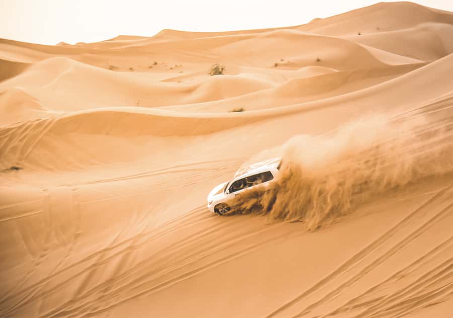 Doha: Half-Day Desert Safari, Quad Bike, Camels & Inland Sea - Camel photos before the fast stuff