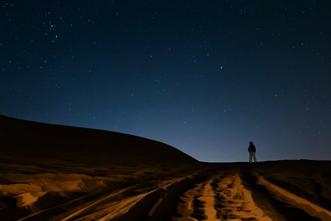 Doha Night Desert Safari Camel Ride Dune Bashing with Transfer - A smart choice for a Doha layover