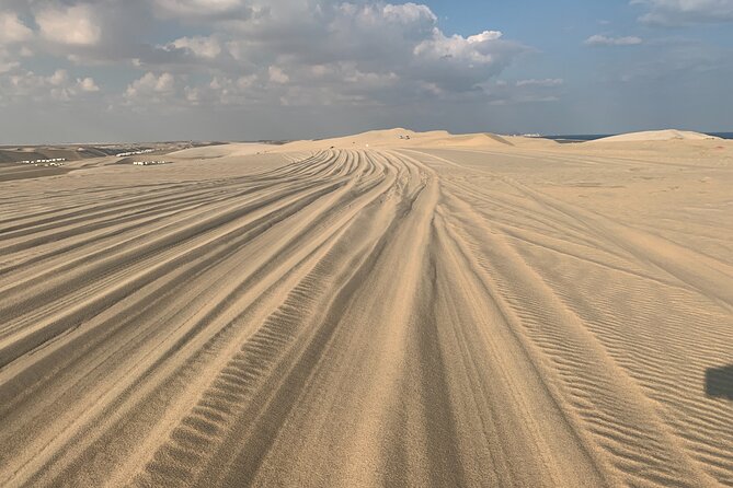 Doha : Night Desert Safari | Transit Safari | Camel ride | Dune Bashing - Choosing between afternoon and night