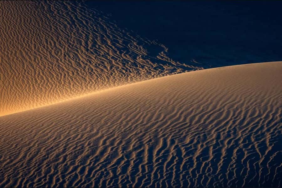 Doha: Nighttime Desert Safari with Dune Bashing & Camel Ride - Khor Al Udaid, the Inland Sea, and the night sky