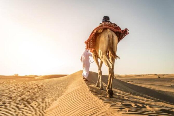 Doha Qatar ATV Quad Bike Buggy Desert Adventure and Camel Ride - What the guides add to the day
