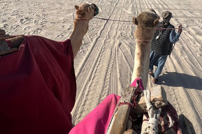 Doha Qatar ATV Quad Bike Buggy Dune Bashing and Camel Ride - Guides and the value of a private outing