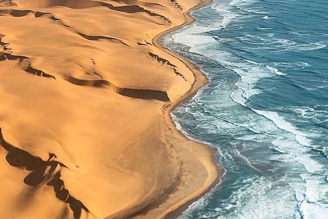 Doha Quad Bike, Dune Bashing, Camel Ride and Inland Sea Tour - From Doha to Sealine in Four Hours