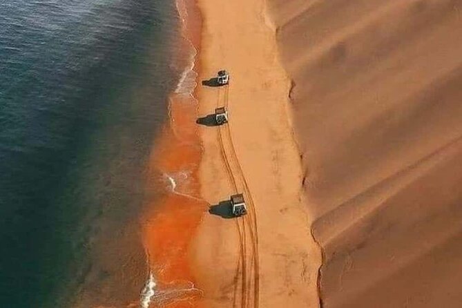 Doha Quad Bike, Dune Bashing, Camel Ride and Inland Sea Tour - Khor Al Udaid and the Inland Sea