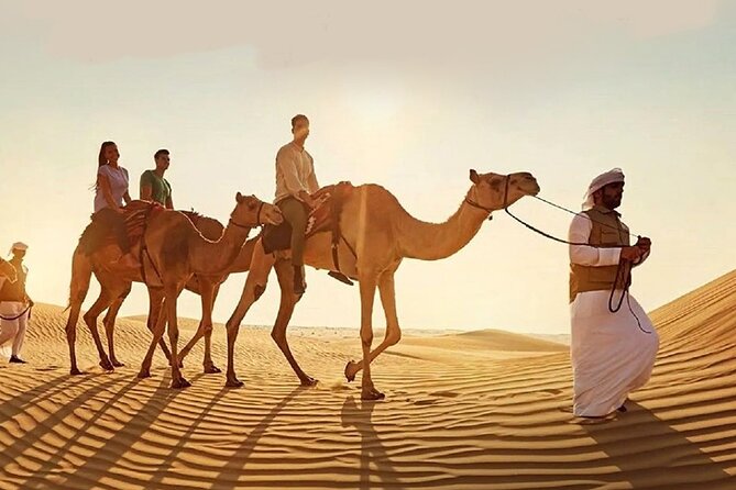 Doha Quad Bike, Dune Bashing, Camel Ride and Island Sea Tour - From Doha streets to the Mesaieed desert