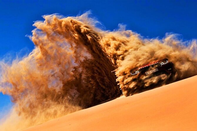 Doha Quad Bike, Dune Bashing, Camel Ride and Island Sea Tour - Camels, falcons, and the human side of the desert