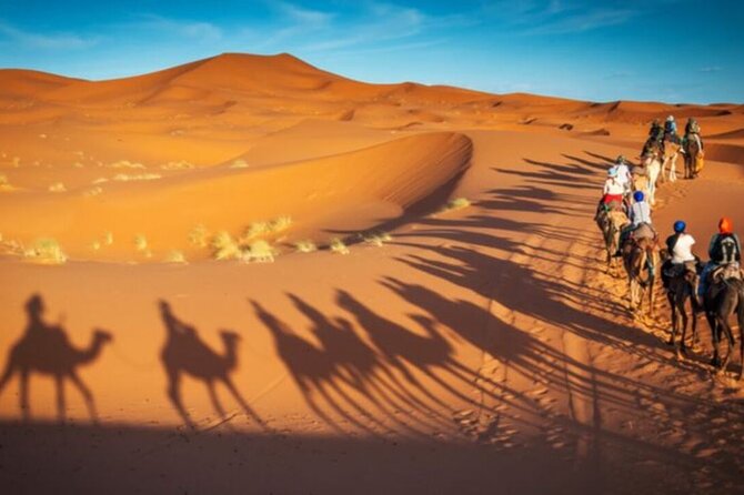 Doha Quad Bike, Dune Bashing, Camel Ride and Island Sea Tour - How the four-hour schedule works