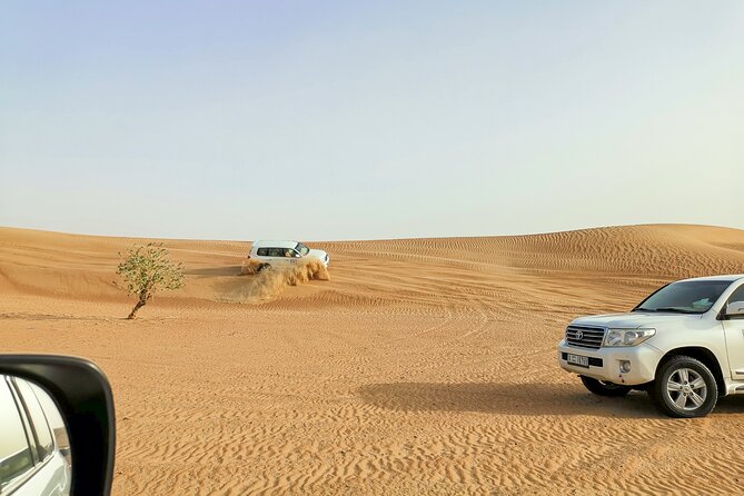 Doha Quad Bike, Dune Bashing, Camel Ride and Island Sea Tour - The guides can shape the whole experience