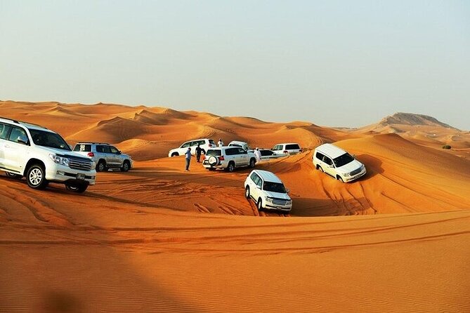 Doha: Quad Bike, Dune Bashing, Camel Ride & Inland Sea Tour - Camels, falcons, and a short break
