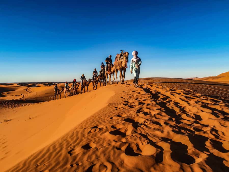 Doha: Quad Bike, Dune Bashing, Camel Ride & Inland Sea Tour - Sandboarding and the best photo stop
